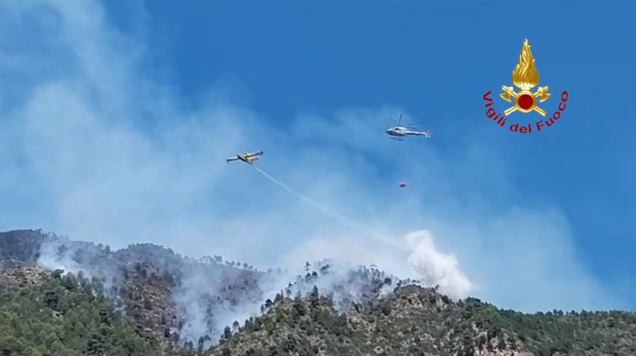 Incendio Tra Olivetta San Michele Ventimiglia E Francia In Azione