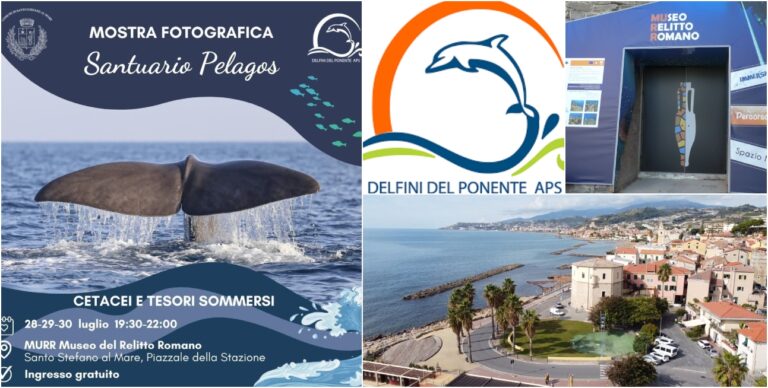 Santo Stefano Al Mare Inaugura Santuario Pelagos Una Tre Giorni Di