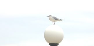 Diano Marina, bella non solo d’estate