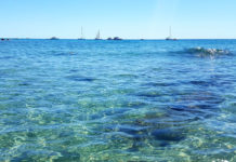 Il Club Unesco di Sanremo celebra la giornata nazionale del mare con un’apposita conferenza mare sanremo