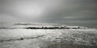 Bordighera, chiuso il lungomare Argentina a causa della forte mareggiata in atto