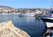 Pesca, Coldiretti Liguria: “Si assiste a una maggiore attenzione verso la flotta italiana” pescatori