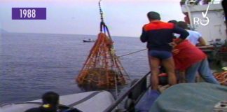 1988 – Recuperati a Diano Marina gli antichi dolia romani