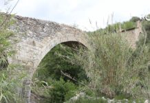 Inquinamento del torrente Prino, frantoiani chiamati a risarcire