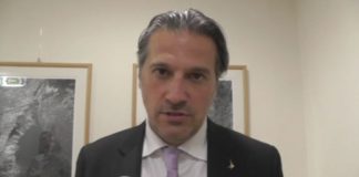 Coronavirus, assessore Mai: “Consentita vendita all’ingrosso e al dettaglio di legna da ardere” Stefano Mai