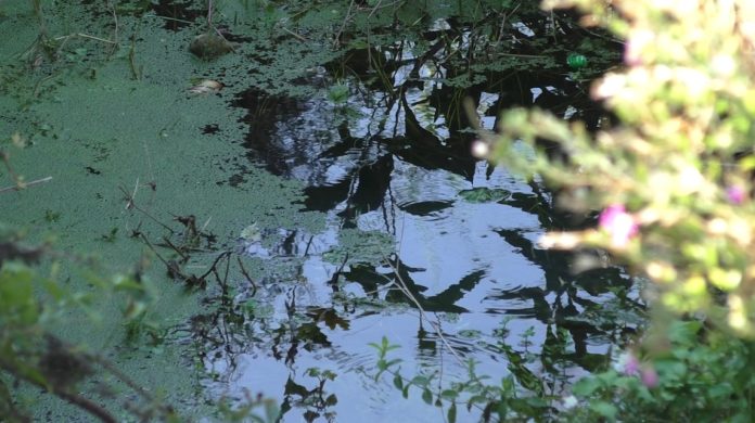 torrente sversamenti fognature