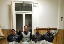 Ventimiglia, il fiuto di Parkos scova 43 chili di droga