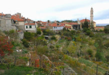 Imperia: “Camminata tra gli Olivi” a Costa D’Oneglia il 26 ottobre, tra natura e prodotti tipici costa d'oneglia