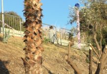 Santo Stefano si porta avanti, pulita la scarpata di Area 24