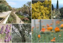 Ponente ligure: un immenso e stupendo giardino