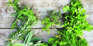 Diano Marina, cresce l’attesa per Aromatica: il via con un convegno, poi stand e cooking show