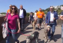 Imperia al voto, passeggiata “a 6 zampe” a sostegno di Luca Lanteri