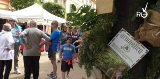 Diano Marina, “Vite in Riviera” protagonista ad Aromatica aromatica dianese