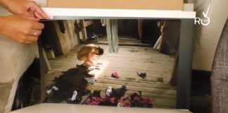 Ascolto e momento presente: Chiara Mazzocchi in mostra a Bordighera