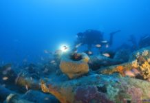 A Diano Marina il mare diventa musica: il 23 luglio arriva ‘Underwater Audioscapes’ informare
