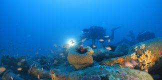 ‘Diano Sottomarina’: al via il 1 luglio gli incontri dell’associazione InfoRmare per conoscere i fondali del Golfo dianese informare