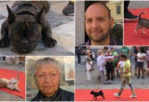 Imperia scodinzola per la seconda edizione di “Zampetta felice”