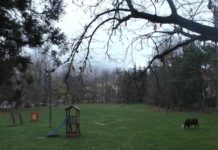 Maltempo, annullato l’evento di Halloween a San Romolo san romolo