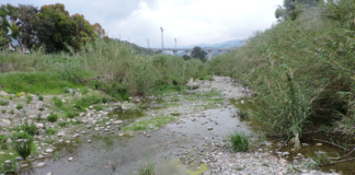 San Bartolomeo al Mare, da oggi chiuso il ponte sullo Steria torrente steria