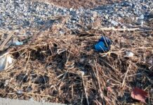 “I Deplasticati” tornano sulle spiagge di Sanremo: tre appuntamenti estivi per educare i bambini al rispetto del mare