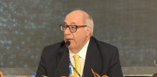 Festival 2019, Sarlo: “Le collaterali vanno alla grande, i cetacei dell’arcipelago Pelagos stanno bene. Oggi siamo felici!”