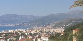 Il Comune di Bordighera dà il via al censimento informatizzato del verde: 655 esemplari su tutto il territorio bordighera
