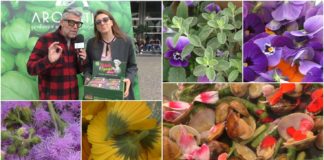 Aromatica 2019, colore in cucina con i fiori commestibili dell’azienda Ravera Bio