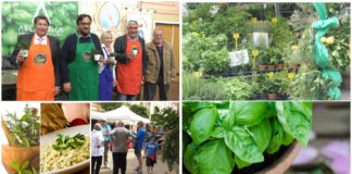 Diano Marina, cresce l’attesa per l’edizione 2019 di “Aromatica”