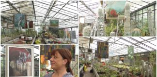 Bordighera, quando l’arte incontra la natura: le opere di Patrizia Pirotelli esposte nel suo vivaio