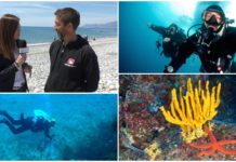 Ventimiglia, alla scoperta della bellezza dei fondali marini con l’associazione “Pianeta Blu”