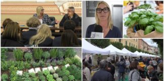 Diano Marina, commercianti a confronto su Aromatica