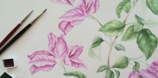 Bordighera, alla Biblioteca Civica Internazionale un workshop di pittura botanica pittura