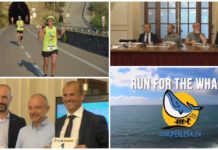 Run for the Whales, conto alla rovescia per la quarta edizione della corsa per le balene