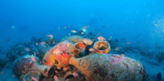 Diano Marina, alla scoperta dei relitti sommersi: enorme patrimonio storico e naturalistico mare