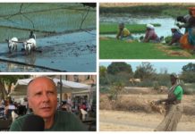 Tra Sanremo e India: i 50 anni di Assefa