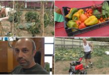 Ass. Emila di Taggia, l’orto sociale che mette in contatto i ragazzi disabili con la natura Associazione Emila