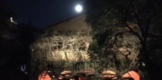 Bordighera: al Museo Bicknell il concerto “Il pianista sulla luna”, in omaggio ai 50 anni dall’allunaggio museo bicknell