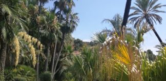 Bordighera, ai Giardini Winter l’evento “Sulle tracce dei Famosi”: un percorso alla scoperta della figura di Lodovico Winter rivolto ai bambini Giardini Winter