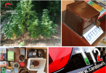 Ventimiglia, 52enne nei guai: trovate 11 piante di cannabis in casa, 200 gr di marijuana e munizioni di vario calibro