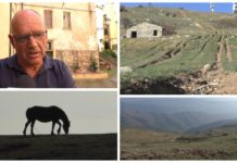 Guerra ai motociclisti che deturpano il Faudo, intervista al sindaco di Dolcedo: “Dobbiamo puntare a un’offerta turistica green”