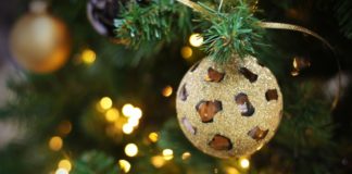 Bordighera, domenica al via l’animazione natalizia per i più piccoli natale