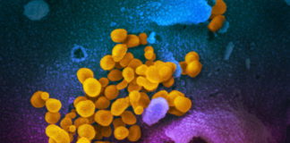 Casi sospetti di Coronavirus in Liguria: tra poche ore i risultati del test coronavirus covid-19