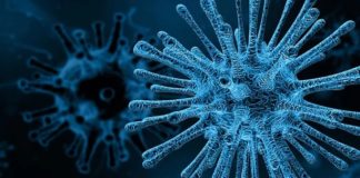 Coronavirus, esiti negativi per il velista sanremese: monitorato per i prossimi 14 giorni virus