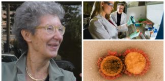 Il nuovo coronavirus dal punto di vista di una ricercatrice scientifica: intervista alla professoressa Mara Lorenzi Mara lorenzi coronavirus