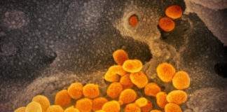 Coronavirus, salgono ancora i casi nell’Asl 1. In Liguria 19 le persone decedute coronavirus covid-19