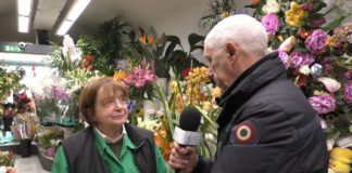 8 marzo: crolla il prezzo della mimosa, effetto coronavirus. Intervista a Ida Guglielmi di Sanremo Fiorita