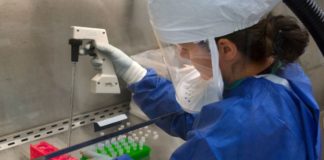 Coronavirus, le proposte del comitato scientifico: stop alle manifestazioni per 30 giorni, eventi sportivi a porte chiuse