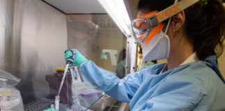 Coronavirus, calano ancora i casi attualmente positivi: -31 rispetto a ieri coronavirus medico