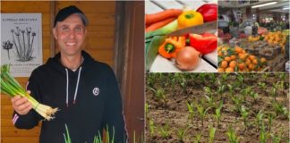 Comprare “Made in Italy” si, ma prima impariamo a mangiare genuino. l’appello di Marco Damele marco damele