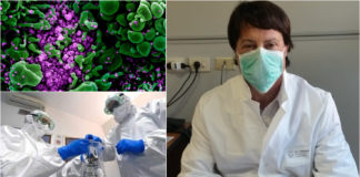 Coronavirus: tra i 100 e i 180 test sierologici al giorno nel Laboratorio di Imperia, un centinaio i tamponi giandomenico poggi